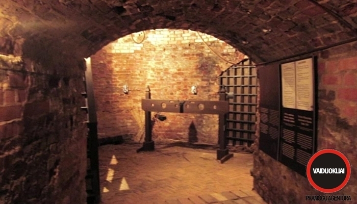 pozemis kaunas