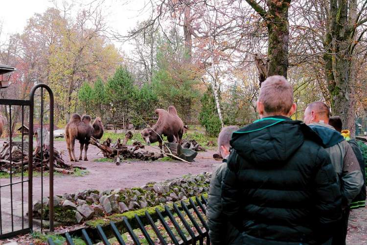 zoologijos, T. Rimkus: „Būna dienų, kai svarstai, kuo galėtum atsidėkoti pasauliui“, Kaunieciams.lt