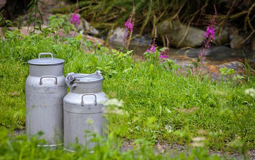 milk-cans-4585830__340.jpg