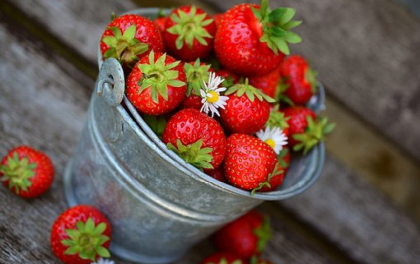 strawberries-3431122__340.jpg